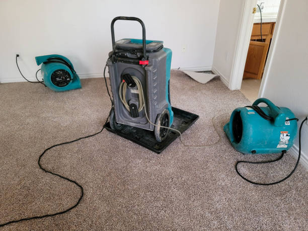 Best Professional water damage repair  in Granby, CO