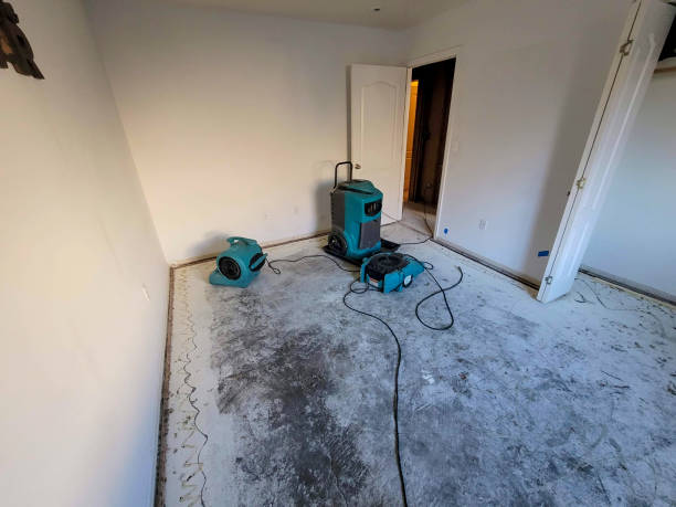 Best Carpet water damage restoration  in Granby, CO