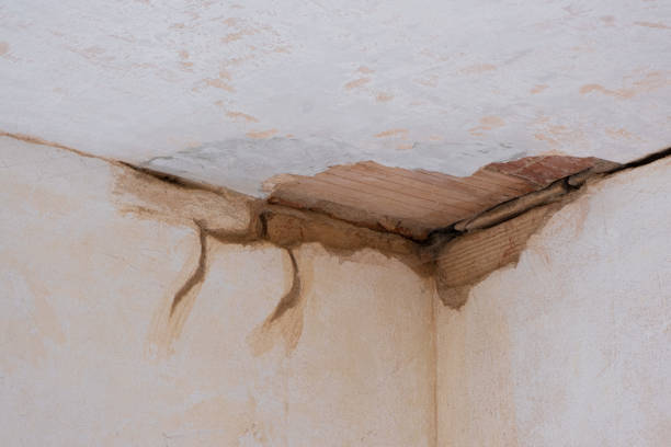 Best Basement water damage restoration  in Granby, CO