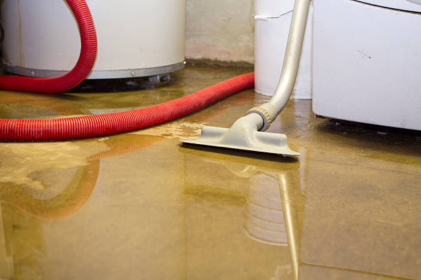 Best Carpet water damage restoration  in Granby, CO